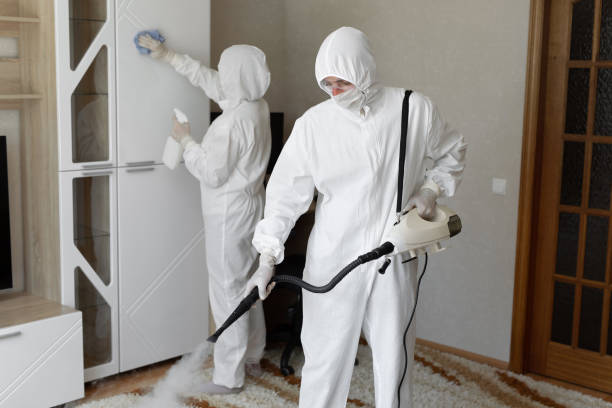 Best Water Damage & Mold Remediation  in Harvey, MI